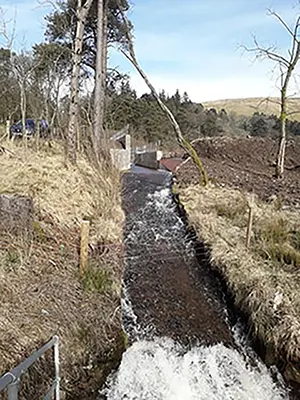 The start of the River Ayr, near Glenbuck